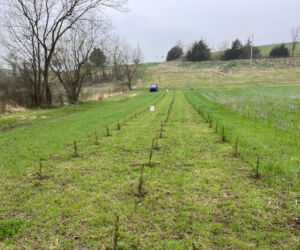 Jeremiah- IA testimonial