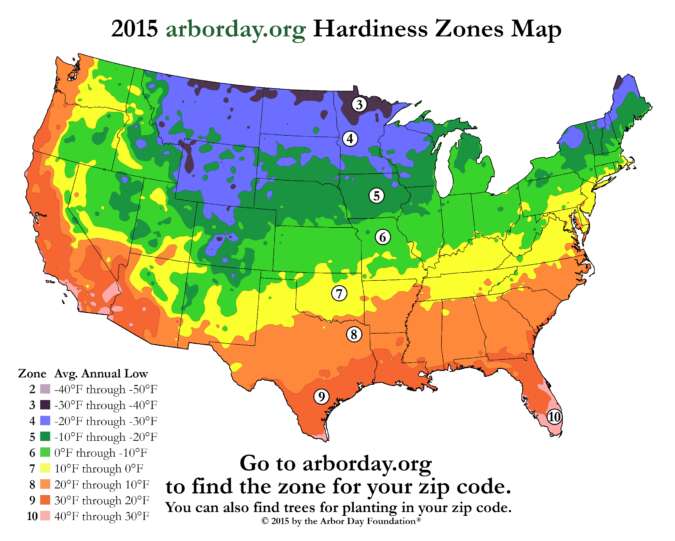 Perennial Plot Power