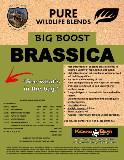 Big BOOST Brassica