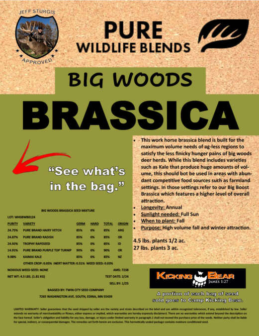 Big Woods Brassica