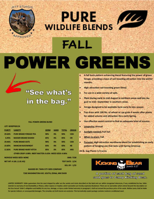 Fall Power Greens