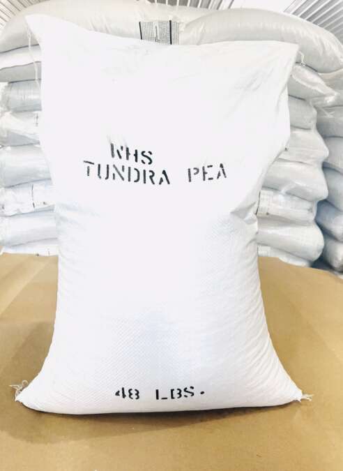 Tundra Peas