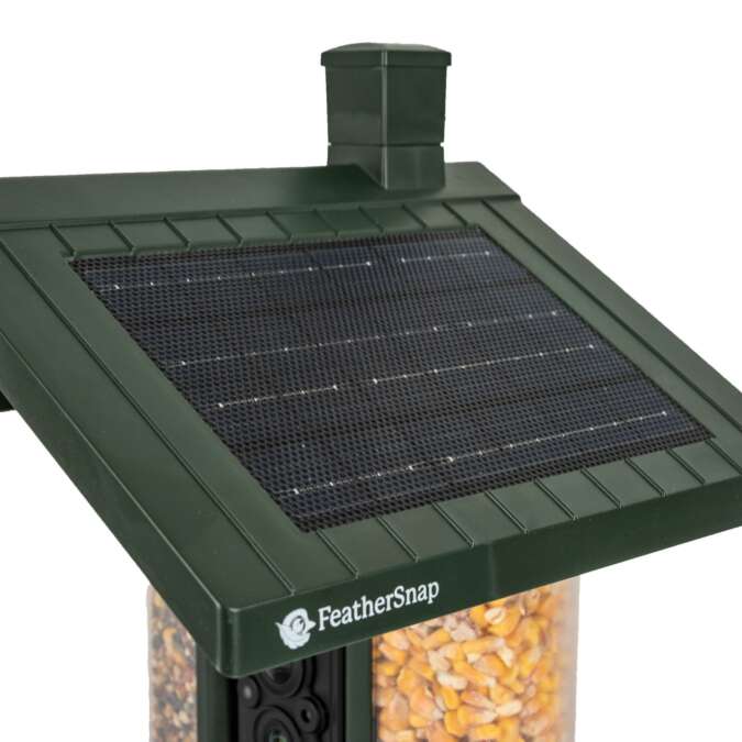 FeatherSnap Smart Bird Feeder