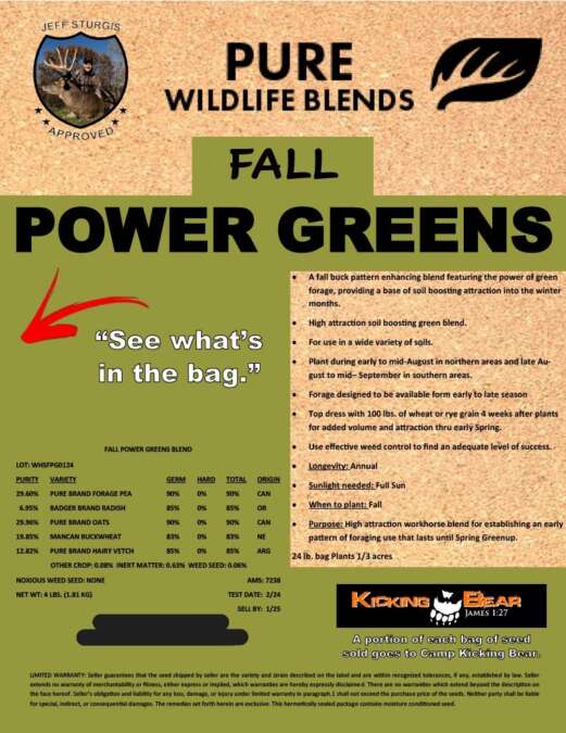 Fall Power Greens