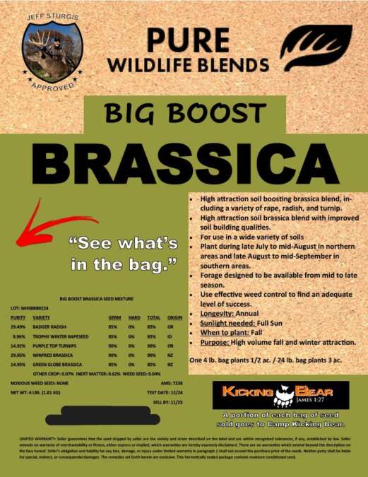 Big BOOST Brassica