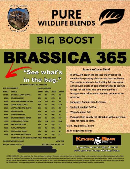 Big Boost Brassica 365