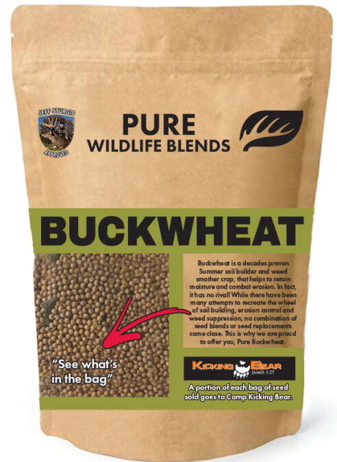 Buckwheat 48 lb Bag