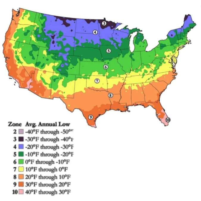 Rut Zone McGreens